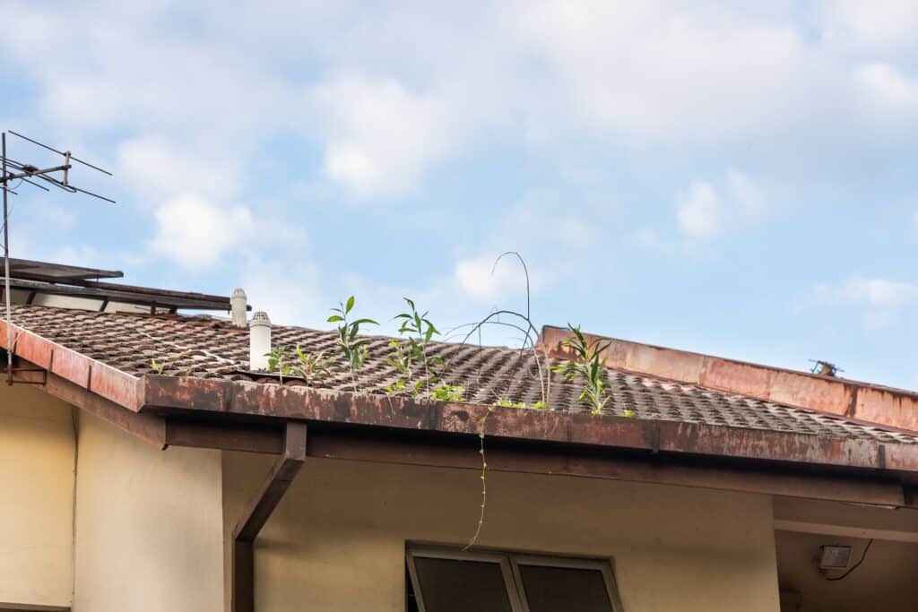 Nettoyage toiture à Montauban
